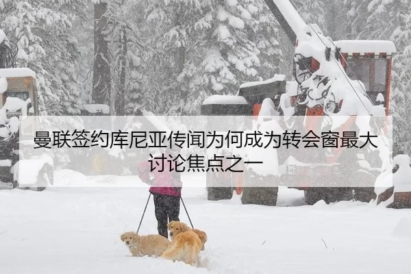 曼联签约库尼亚传闻为何成为转会窗最大讨论焦点之一