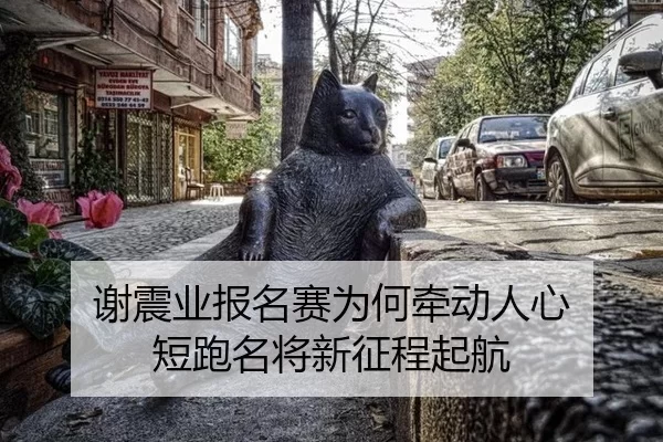 xie-zhen-ye-bao-ming-sai-wei-he-qian-dong-ren-xin-duan-pao-ming-jiang-xin-zheng-cheng-qi-hang-2-169.jpg